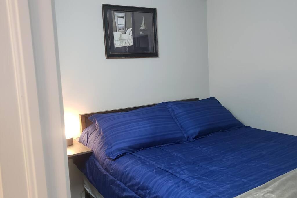 Cozy On A Quiet Street Minutes To Dt Apartment Kingston